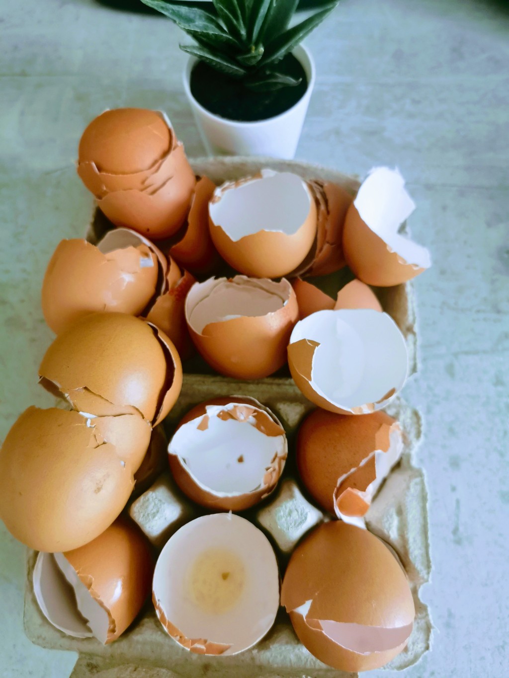 DIY : Les coquilles d’œufs, ne les jetez plus ! #Astuce zéro déchet.